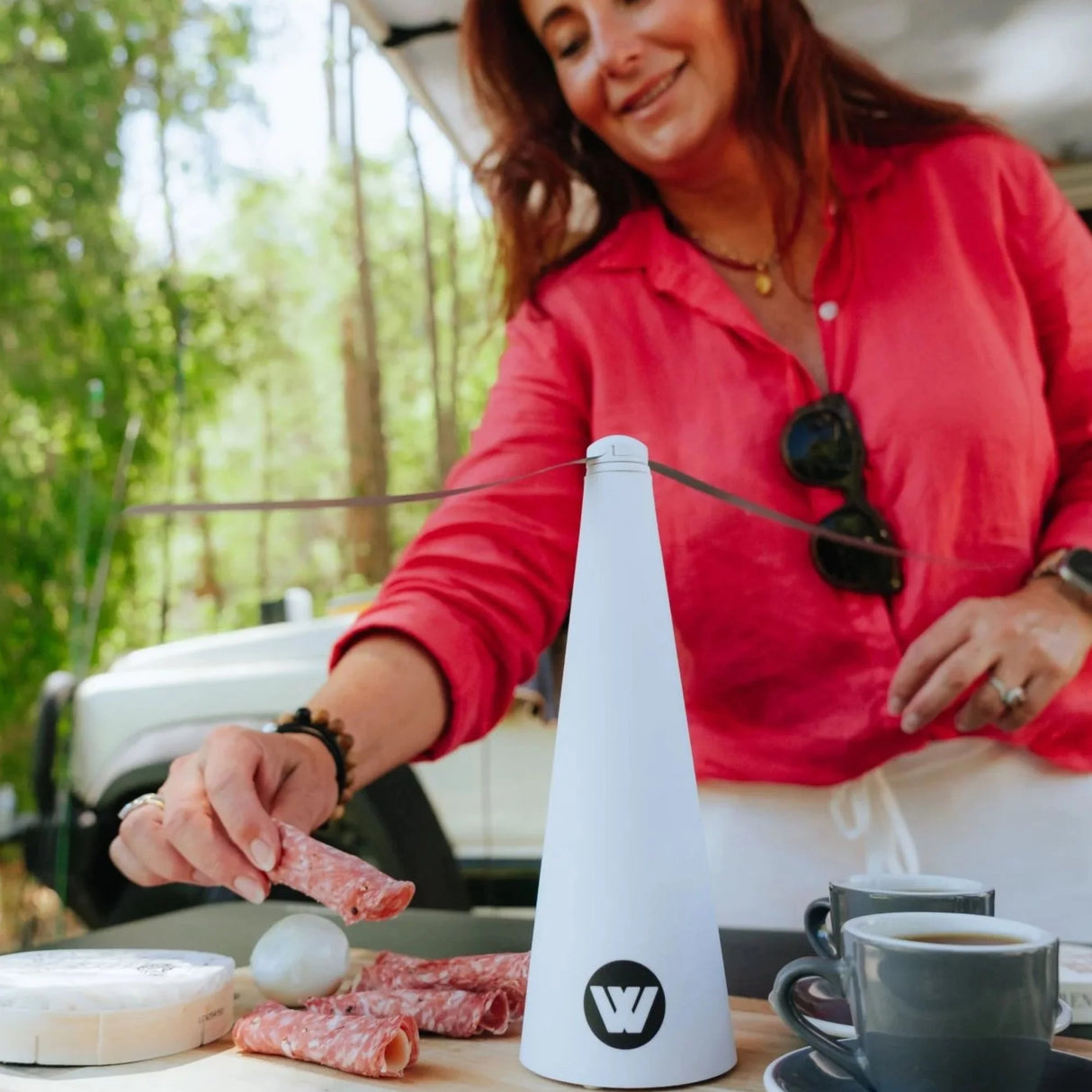 FLY REPELLER FAN 2PK 12 HOUR RECHARGEABLE