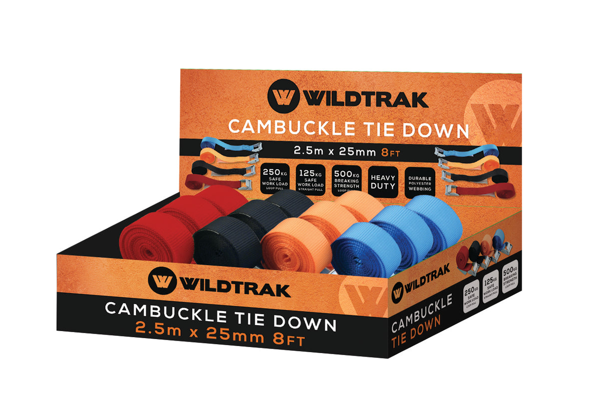 CAMBUCKLE TIE DOWN STRAP 250X2.5CM