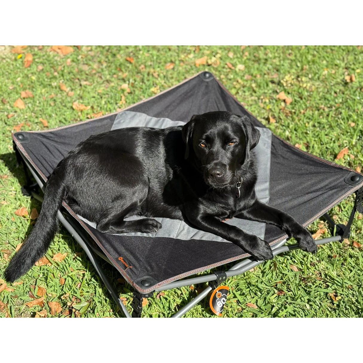 CAMP PET BED 96X96CM XLARGE PADDED 80KG WR
