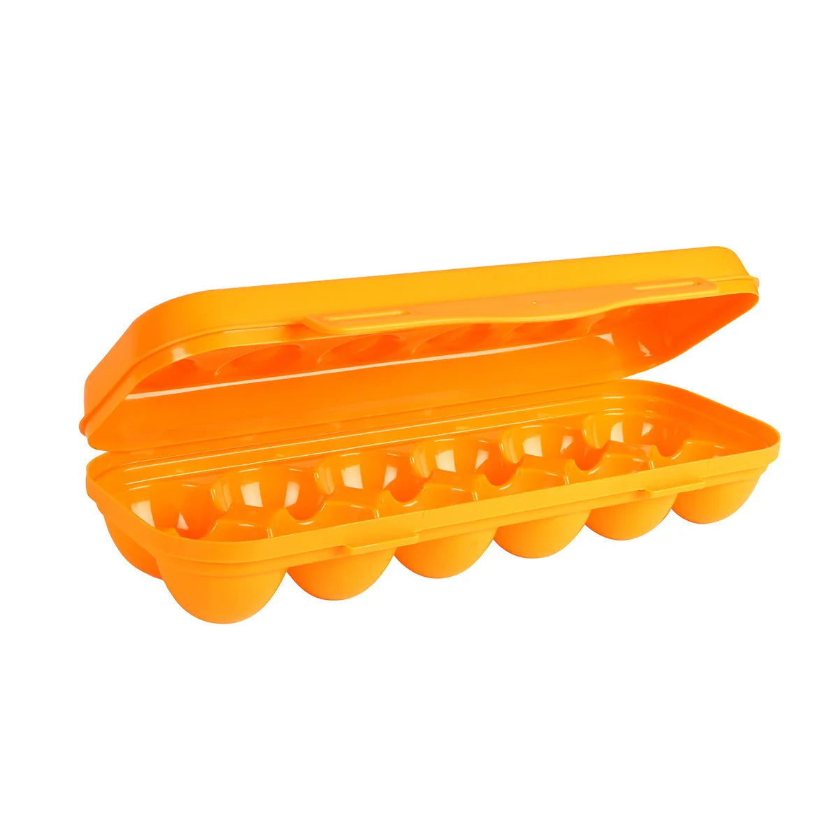 EGG STORAGE CONTAINER HOLDS 12 EGGS 30X11CM